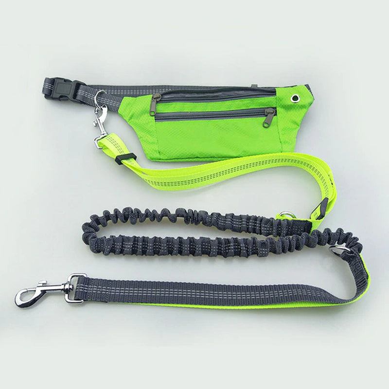 Hands Free Dogs Leash Running Walking Waist Pocket Waterproof Dog Belt Running Product Elasticity Adjustable Waist Dog Leashes